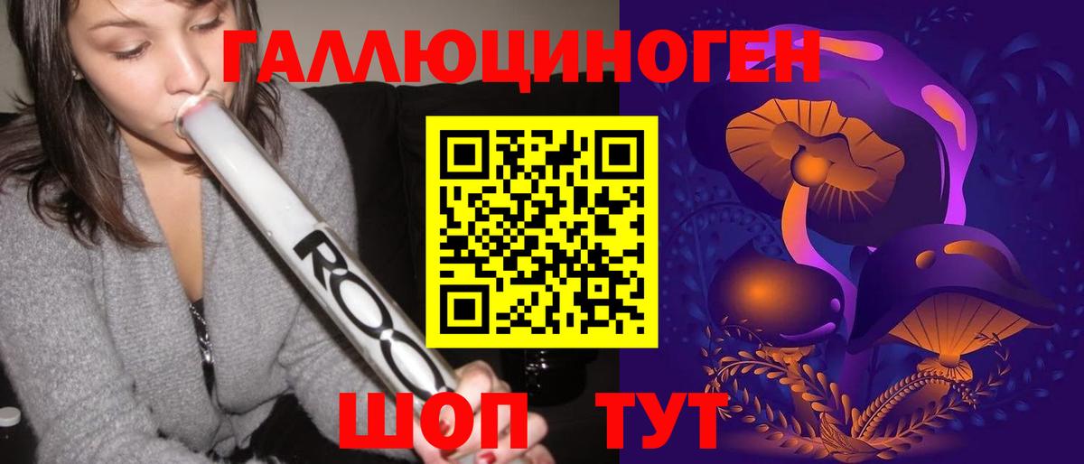 Галлюциногенные грибы Psilocybe Курчалой