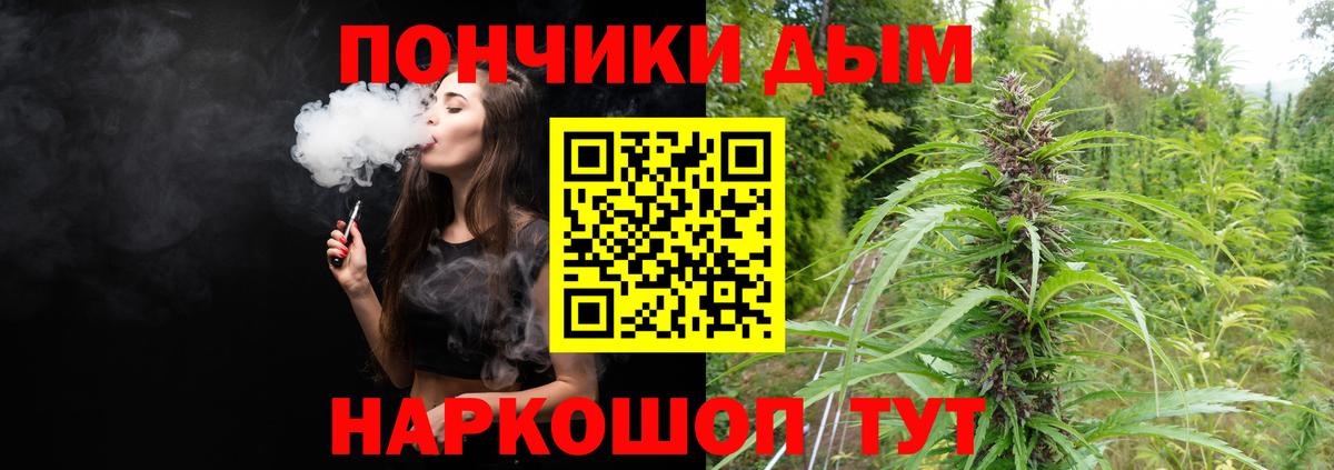 Канабис семена Курчалой