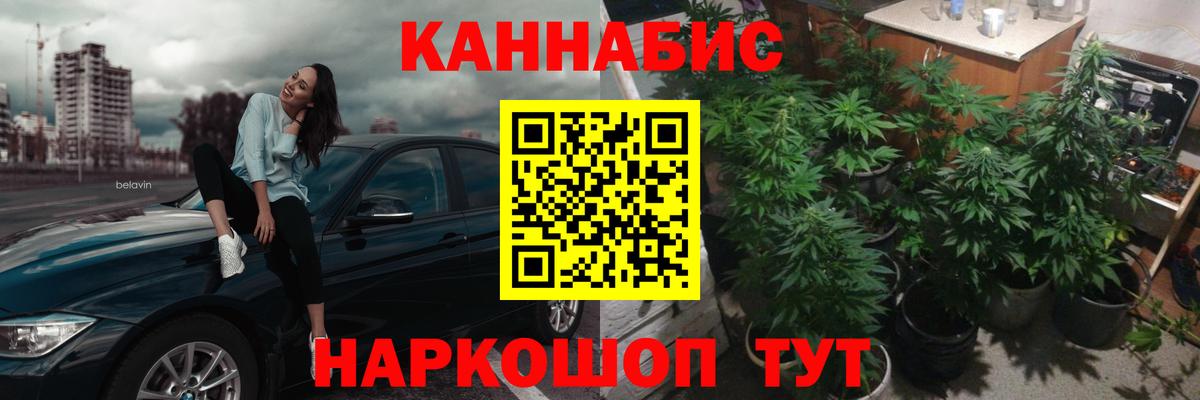 Каннабис AK-47  Вход с VPN  Курчалой  Бошки Шишки AK-47  Каннабис VHQ  Бошки марихуана планчик 
